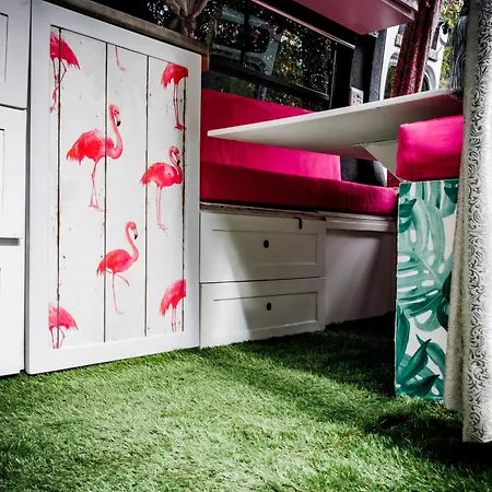 Gypsy Wagons And Vans, Clarens Kamer foto