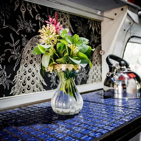 Gypsy Wagons And Vans, Clarens Kamer foto